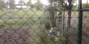 orti sociali Crema 1